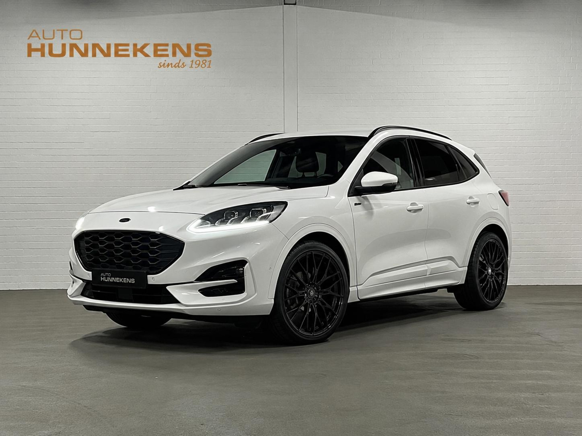 49039034