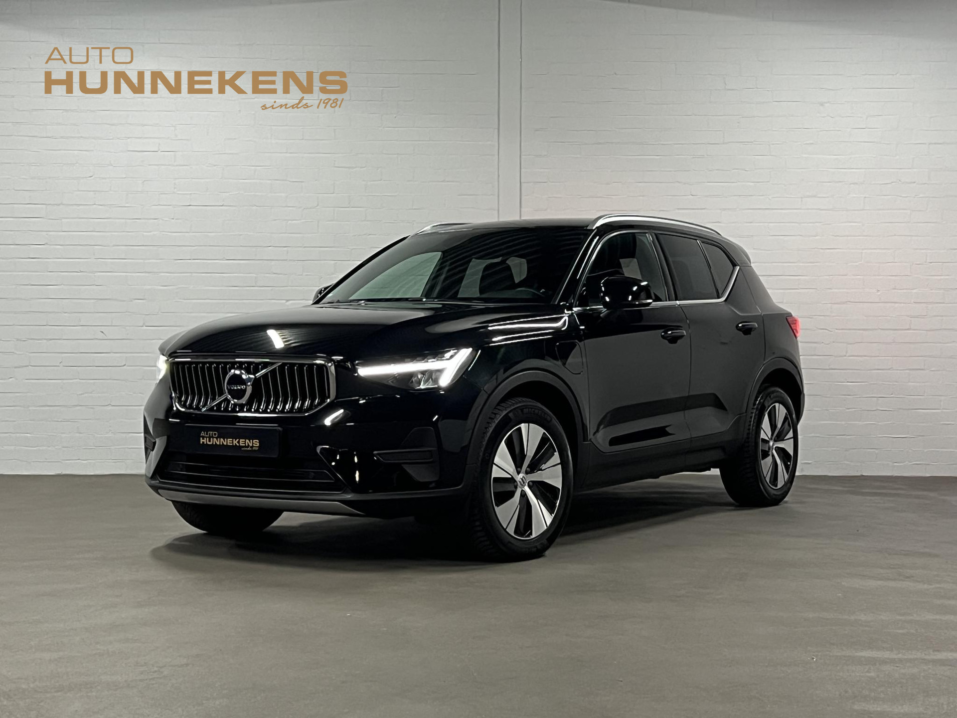 56597313